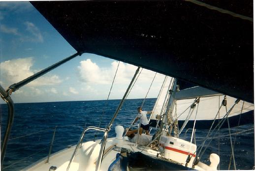 Paul Schulz sailing Hollywooddetroit.com