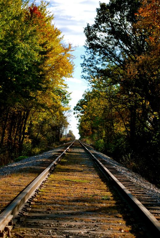 Paul Schulz LOcation scouting Michigan locations MIchigan movies film television detroit
